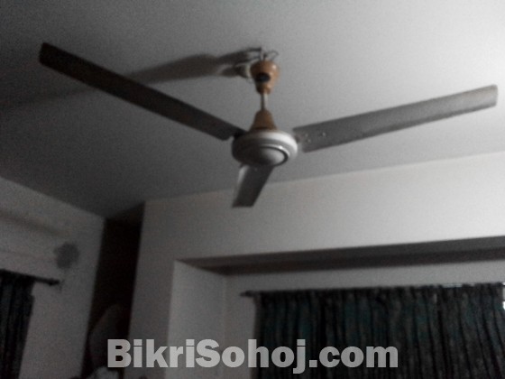 Elite ceiling fan